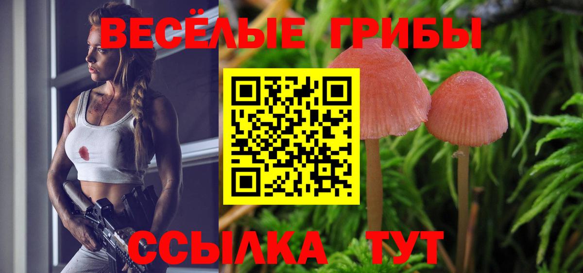 Псилоцибиновые грибы мицелий Глазов