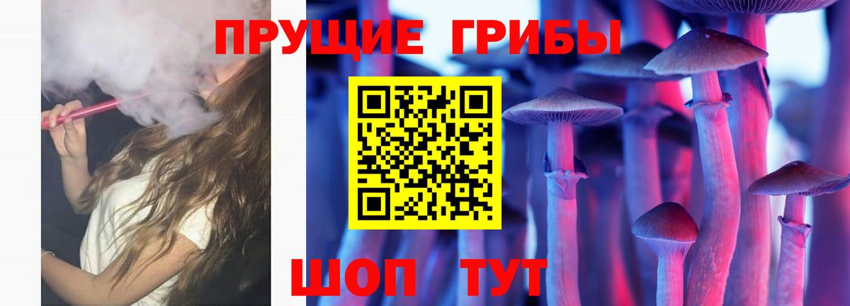 Глазов  Галлюциногенные грибы Psilocybe  Галлюциногенные грибы MAGIC MUSHROOMS  Вход с VPN 